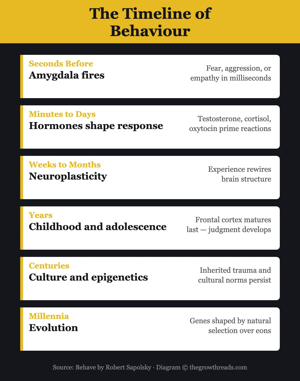The timeline of behaviour — Behave by Robert Sapolsky
