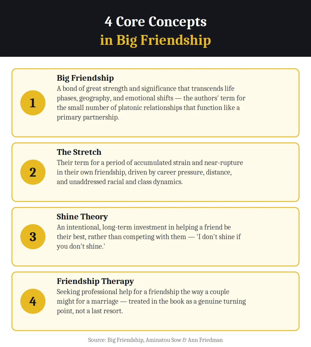 4 core concepts in Big Friendship