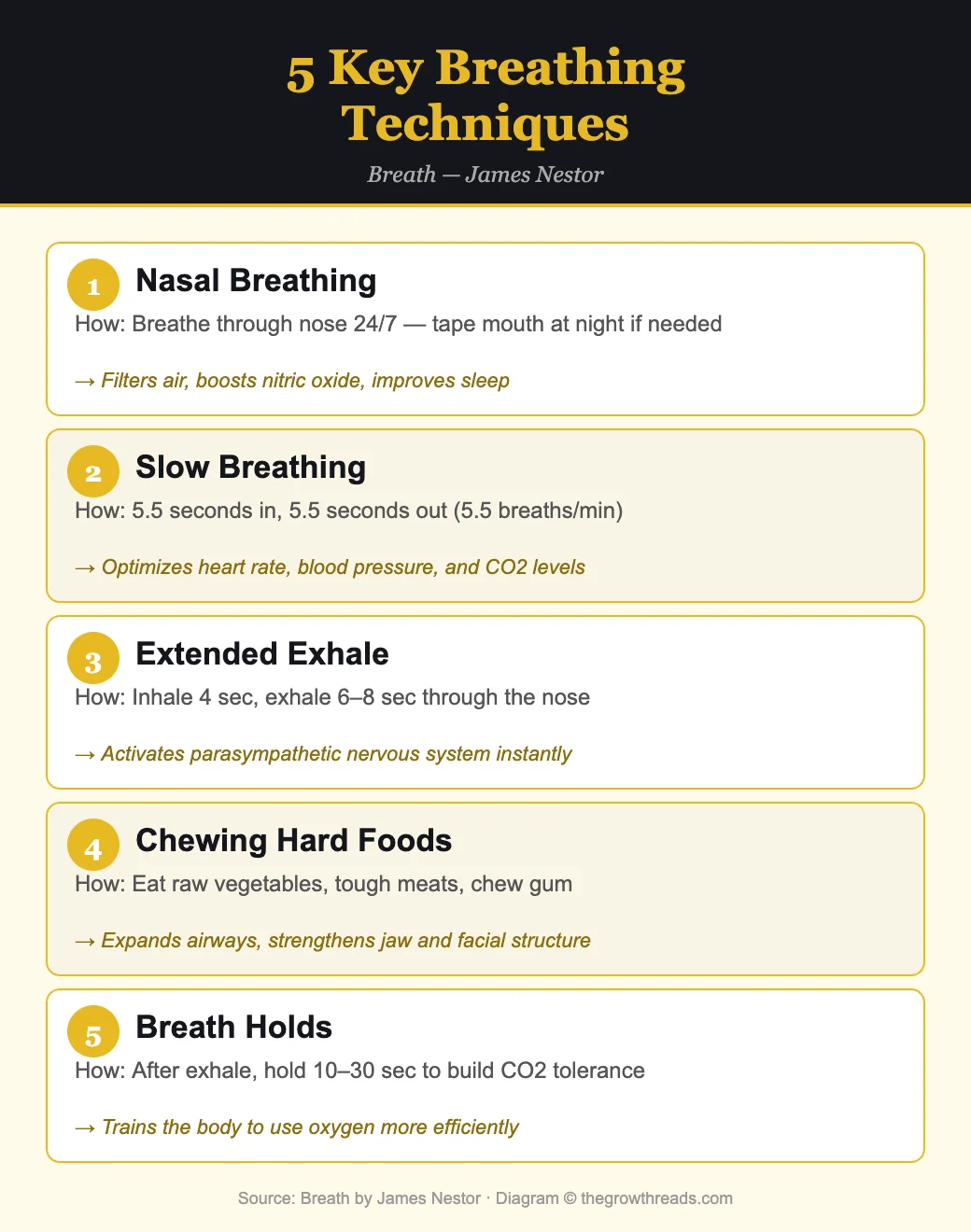 5 Key Breathing Techniques from Breath by James Nestor