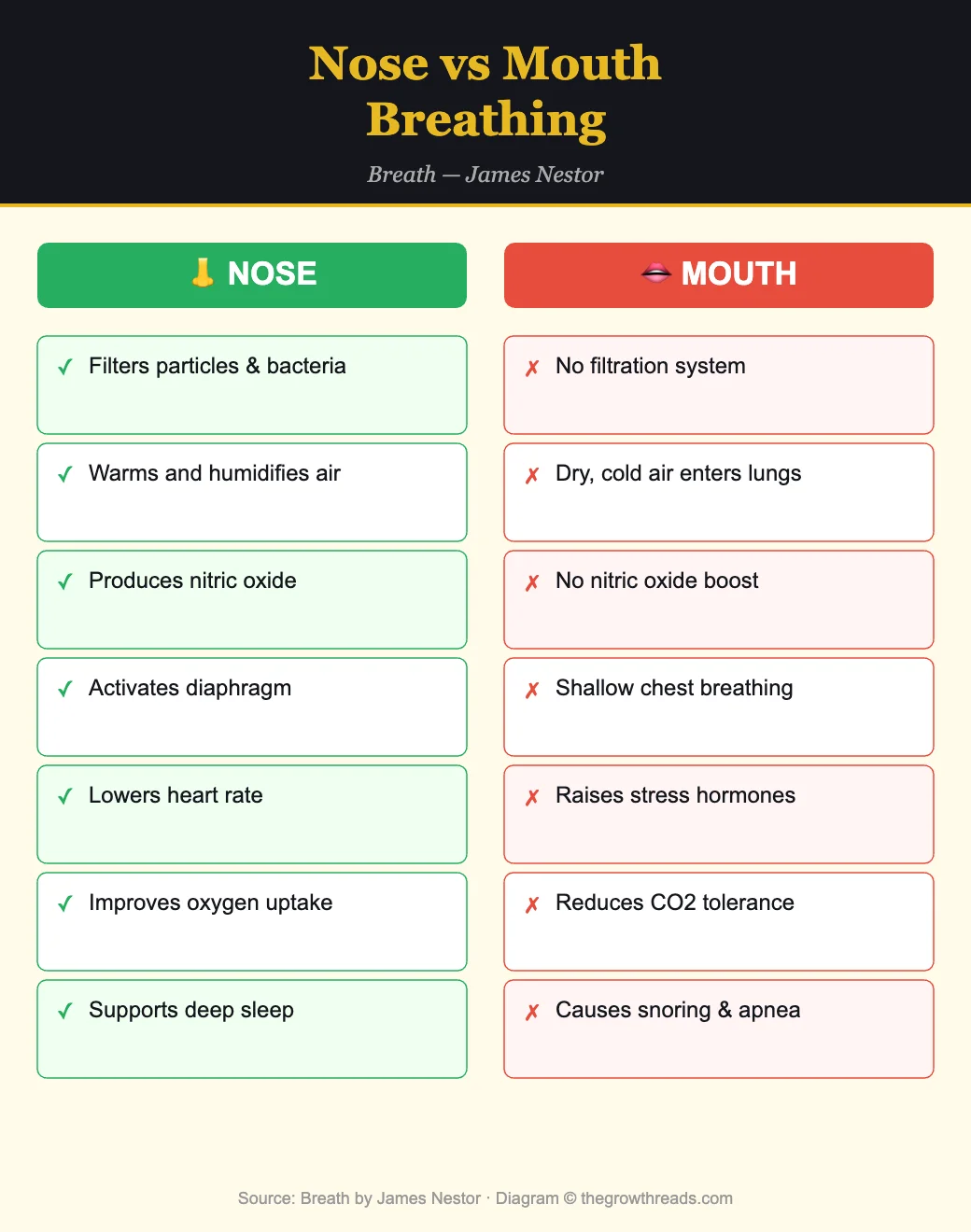 Nose vs Mouth Breathing comparison from Breath by James Nestor