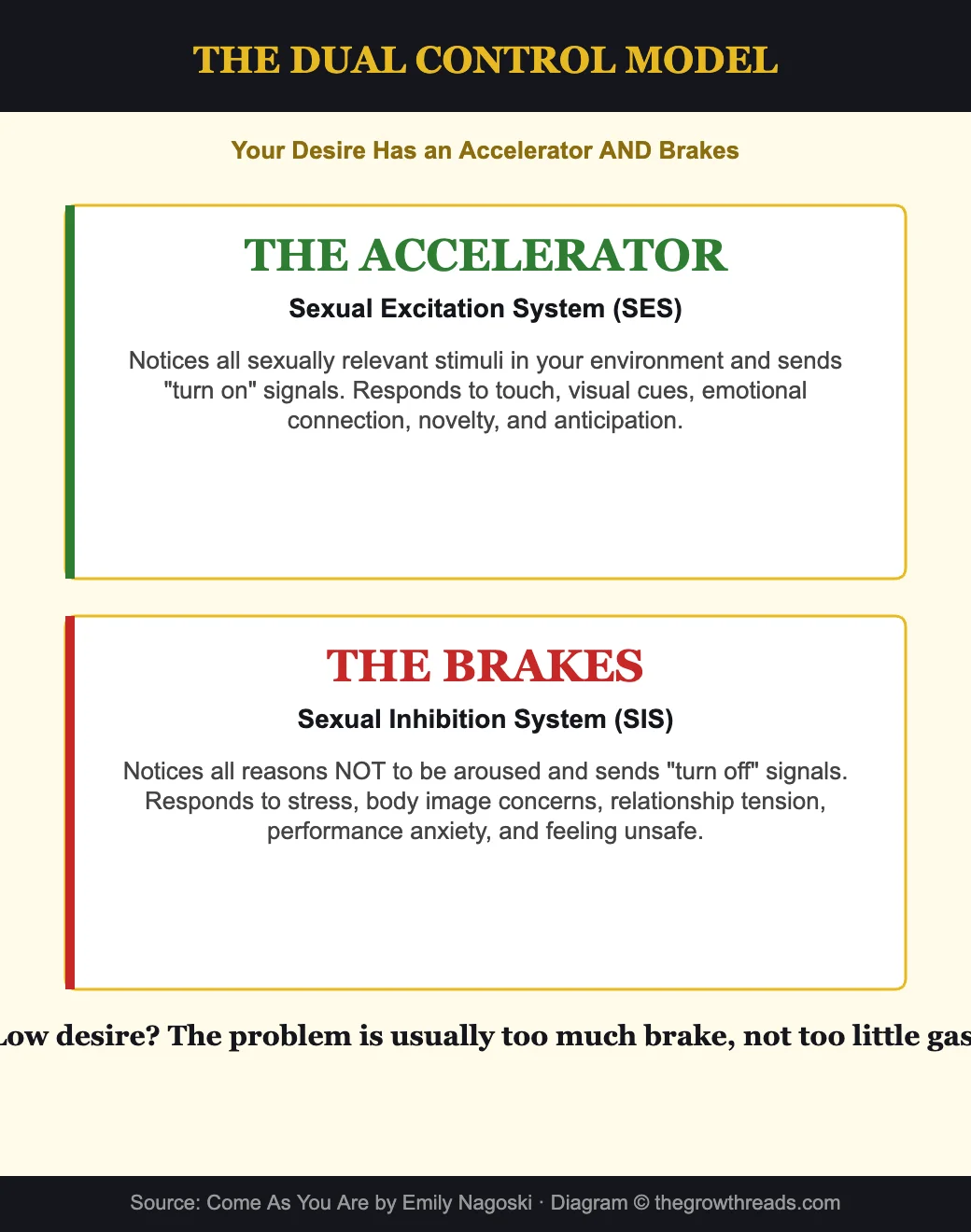 The dual control model - accelerator and brakes of sexual desire
