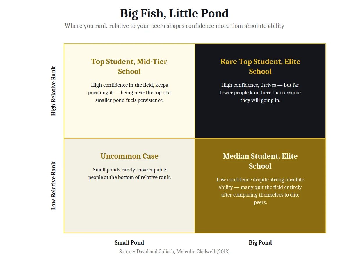 2x2 matrix chart on the Big Fish Little Pond effect from David and Goliath