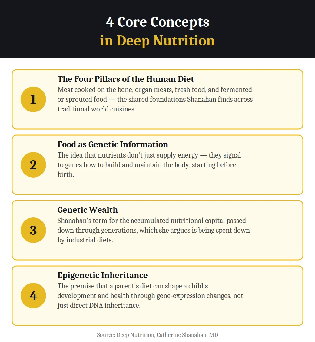 Infographic on 4 core concepts in Deep Nutrition by Catherine Shanahan