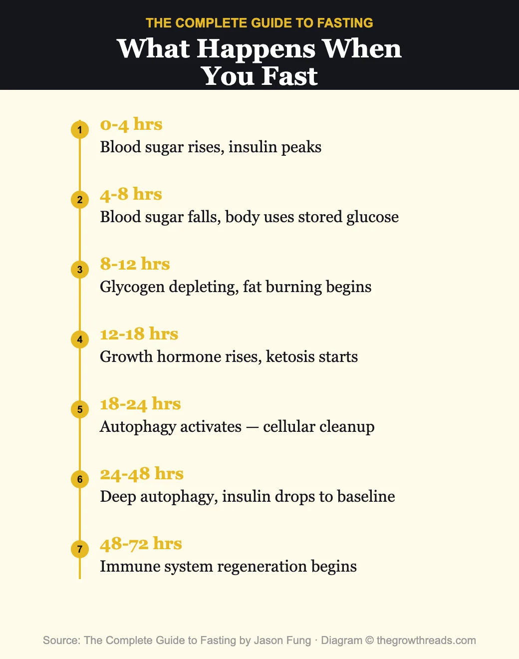 What happens in your body during a fast - hour by hour timeline