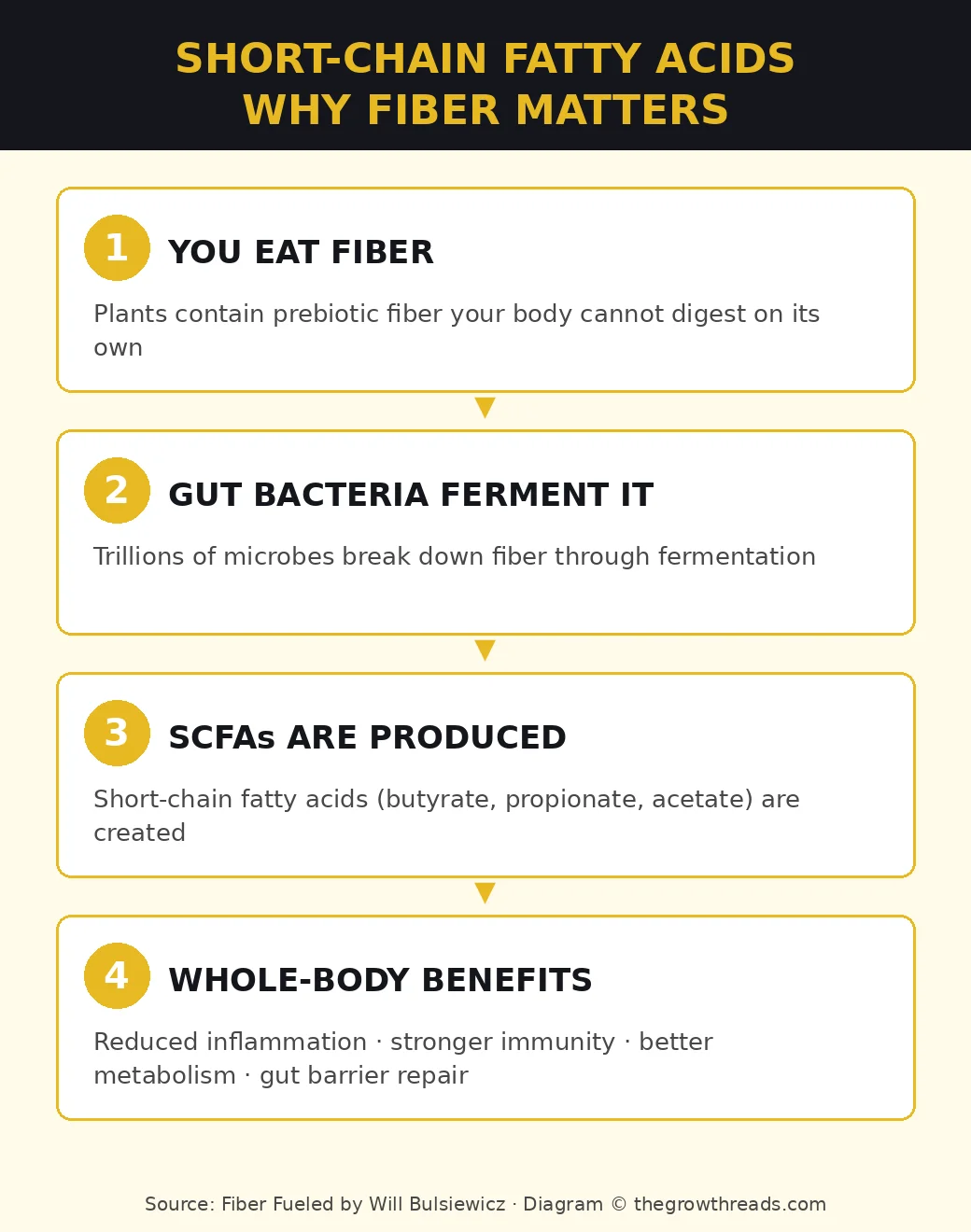 Short-chain fatty acids — why fiber matters from Fiber Fueled