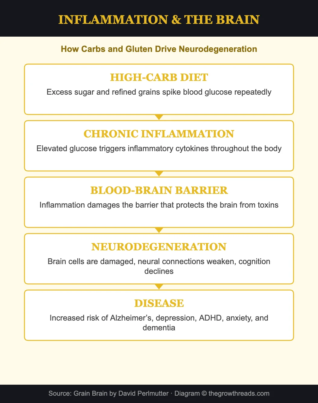 Inflammation and the brain - how carbs drive neurodegeneration