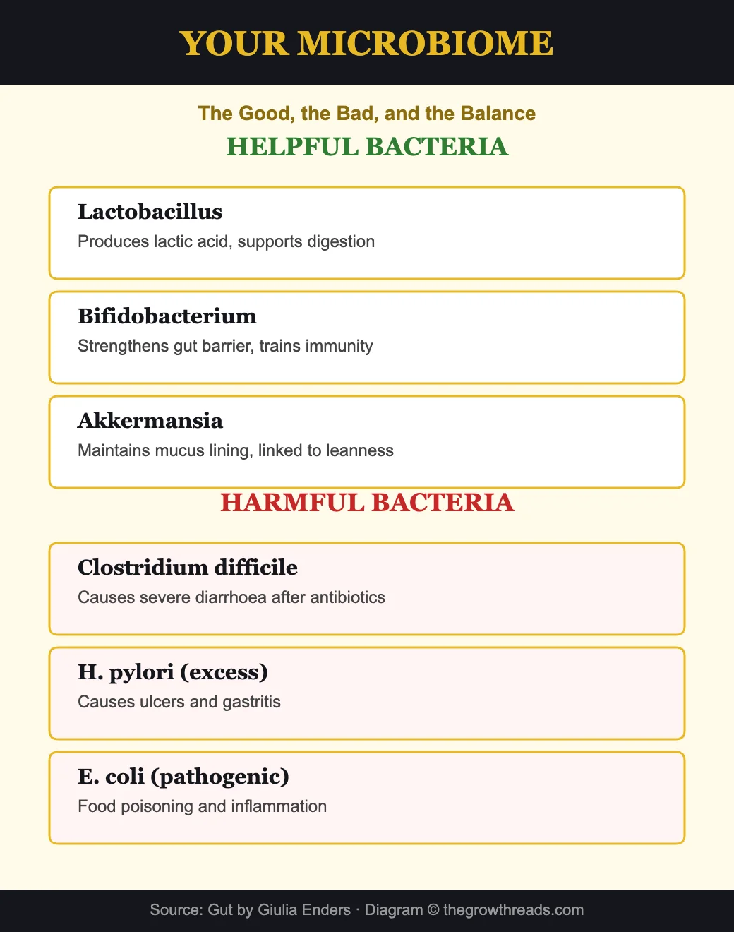 Your microbiome - helpful vs harmful gut bacteria