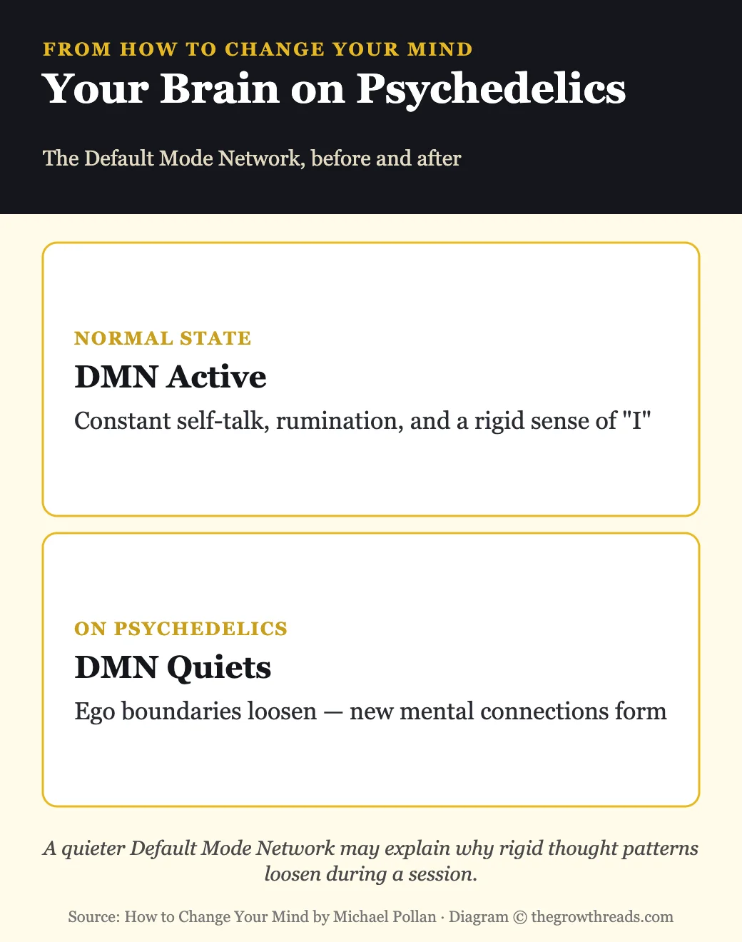 Infographic showing how psychedelics quiet the brain's Default Mode Network, from How to Change Your Mind by Michael Pollan