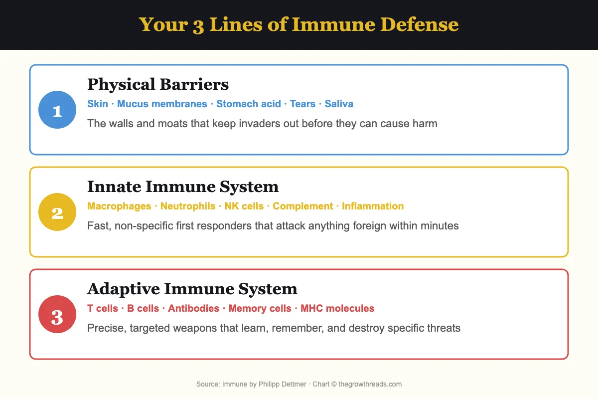 The 3 lines of immune defense from Immune by Philipp Dettmer