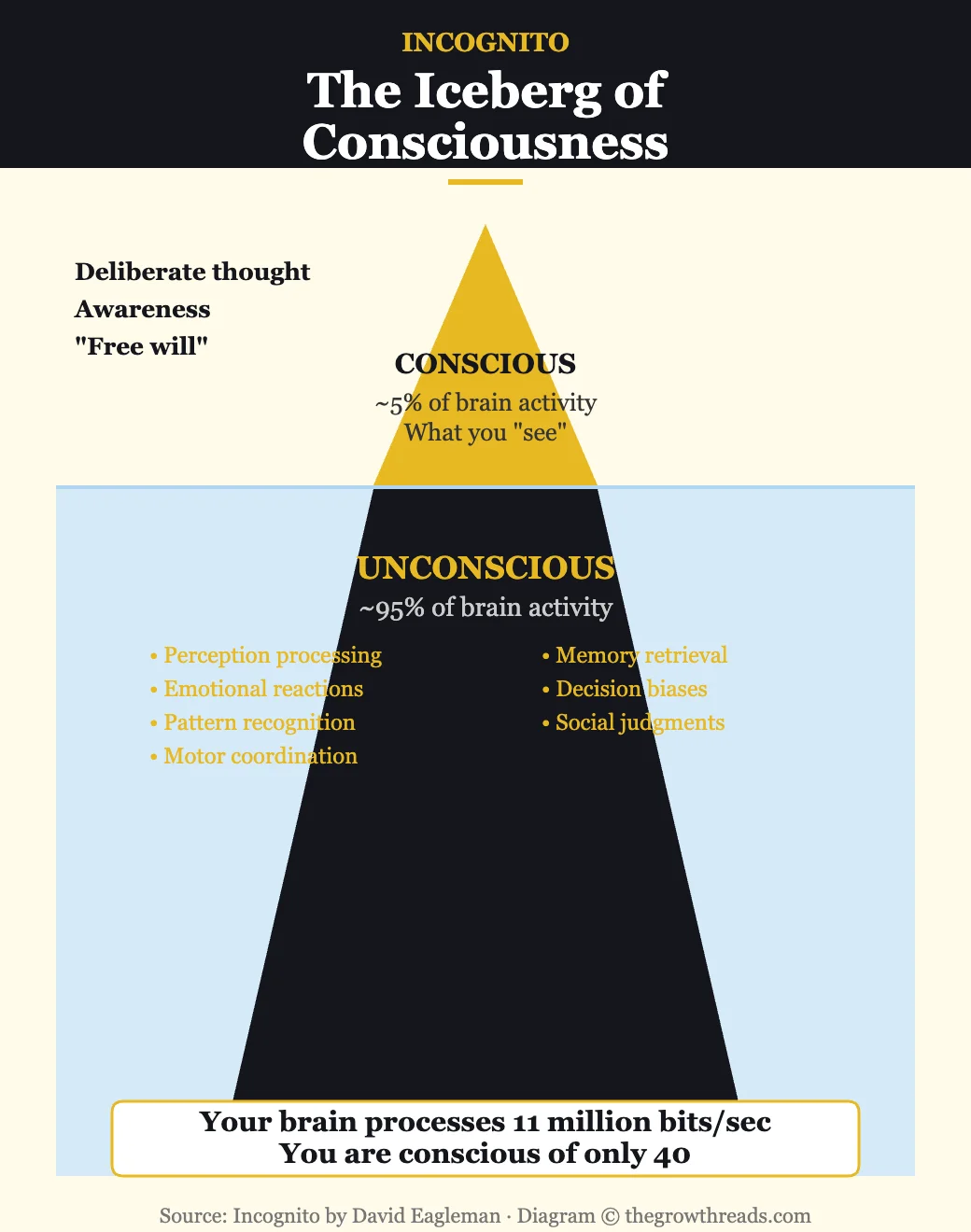 The Iceberg of Consciousness from Incognito — 95% of brain activity is unconscious