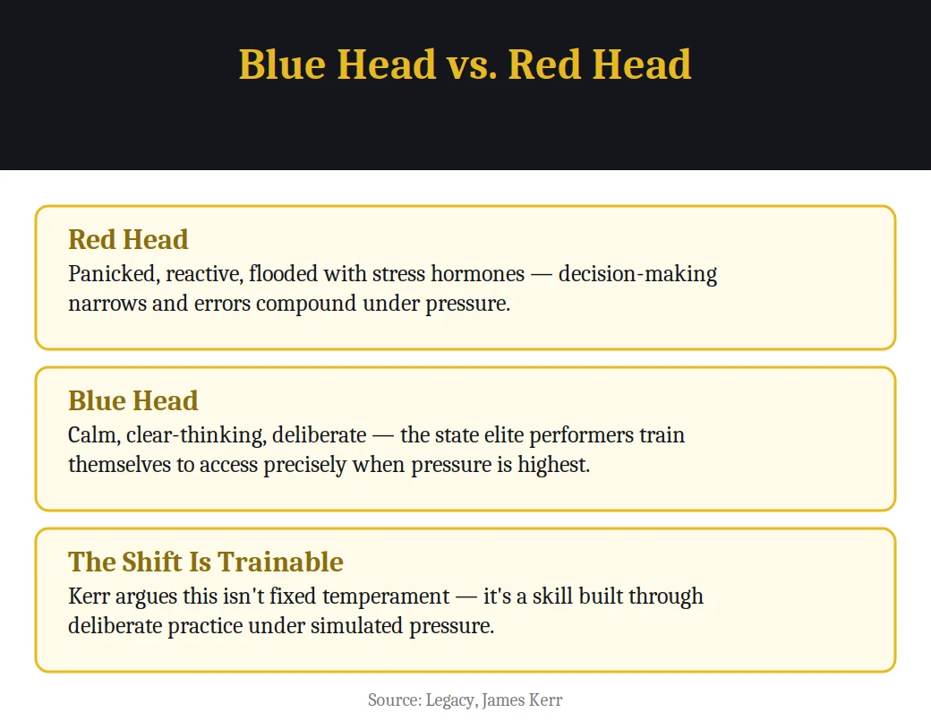 Infographic on Blue Head vs Red Head from Legacy by James Kerr