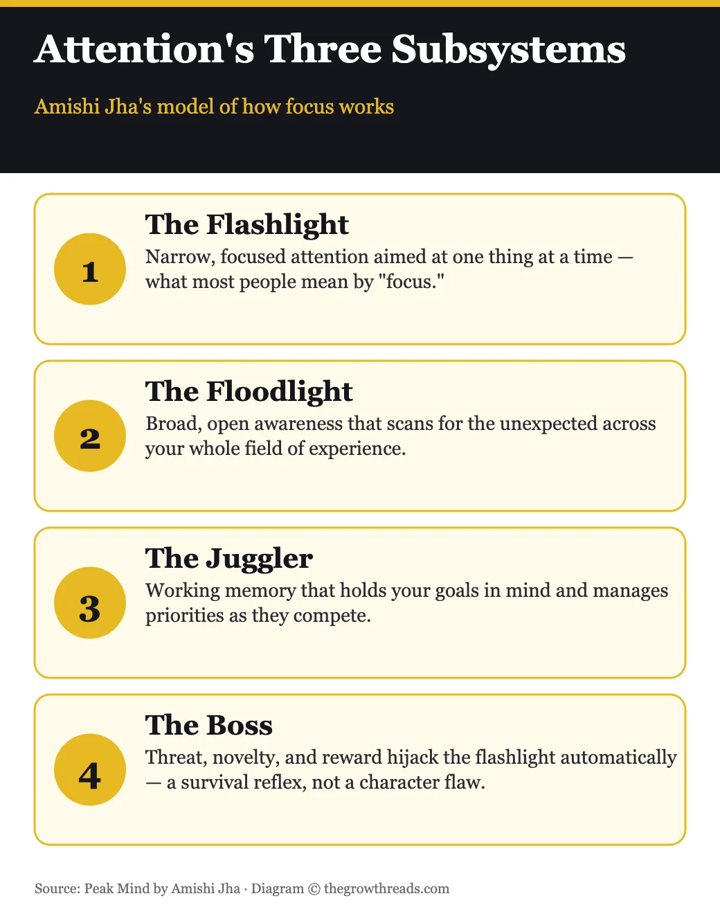 Attention's three subsystems from Peak Mind by Amishi Jha: the Flashlight, the Floodlight, the Juggler, and the Boss