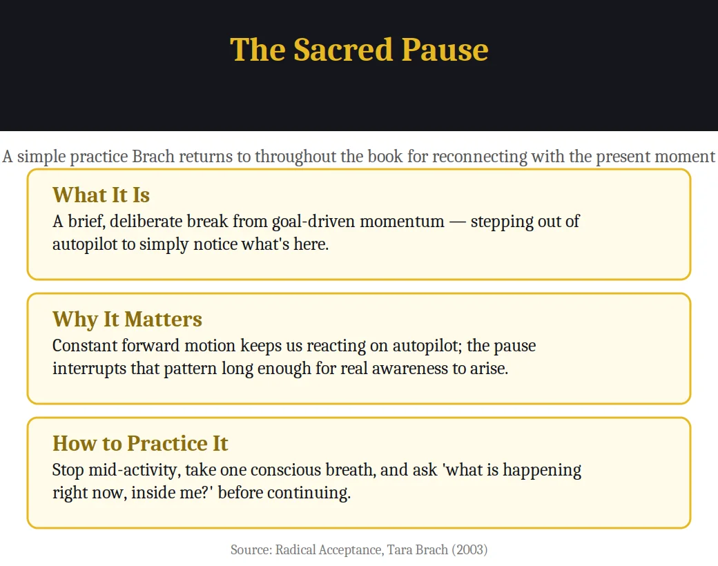 Infographic on the Sacred Pause practice from Radical Acceptance