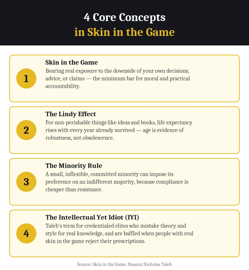 Infographic on 4 core concepts in Skin in the Game by Nassim Nicholas Taleb