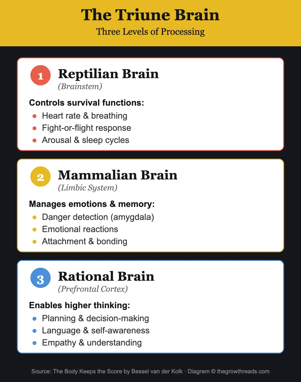 The Triune Brain - three levels of brain processing from The Body Keeps the Score