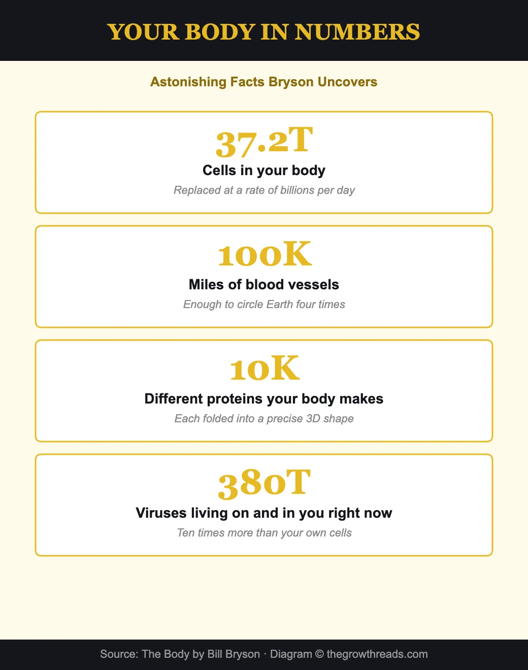Your body in numbers - astonishing facts from Bill Bryson