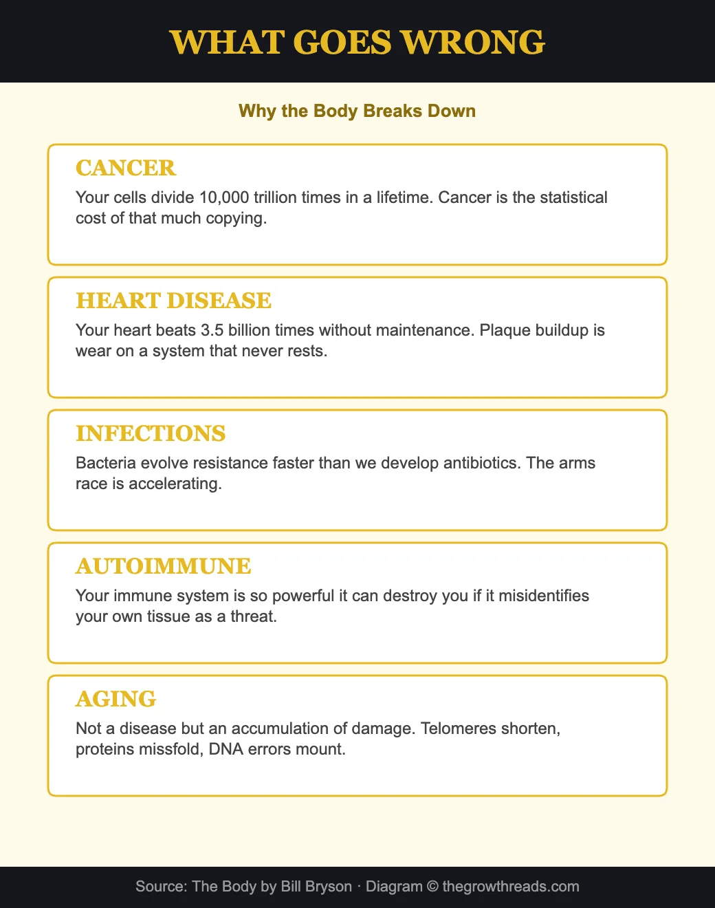 What goes wrong - why the human body breaks down