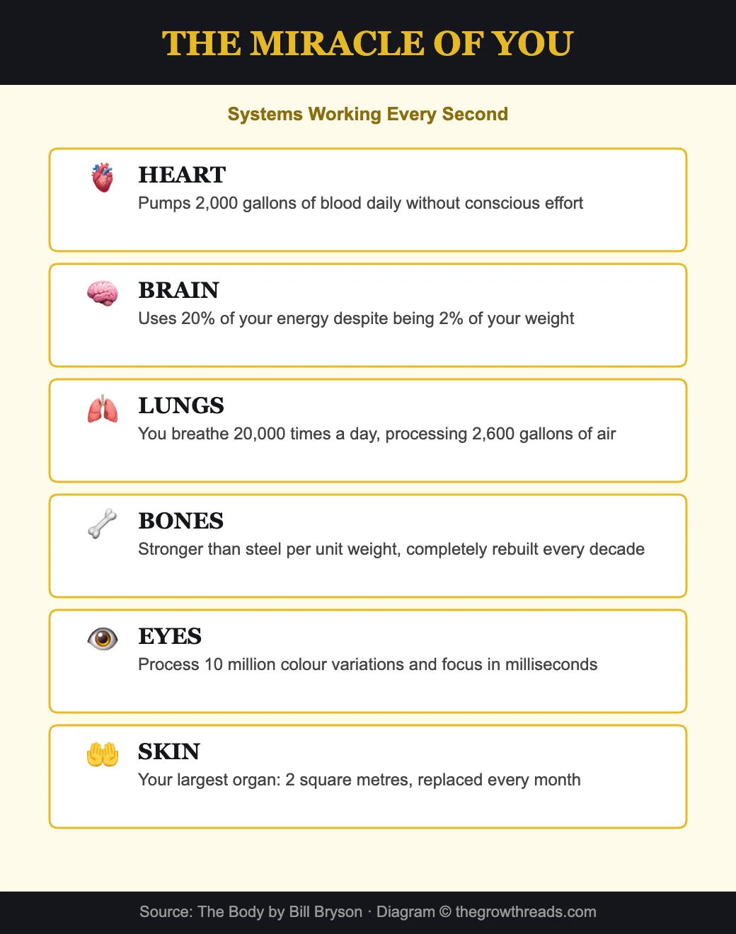 The miracle of you - body systems working every second