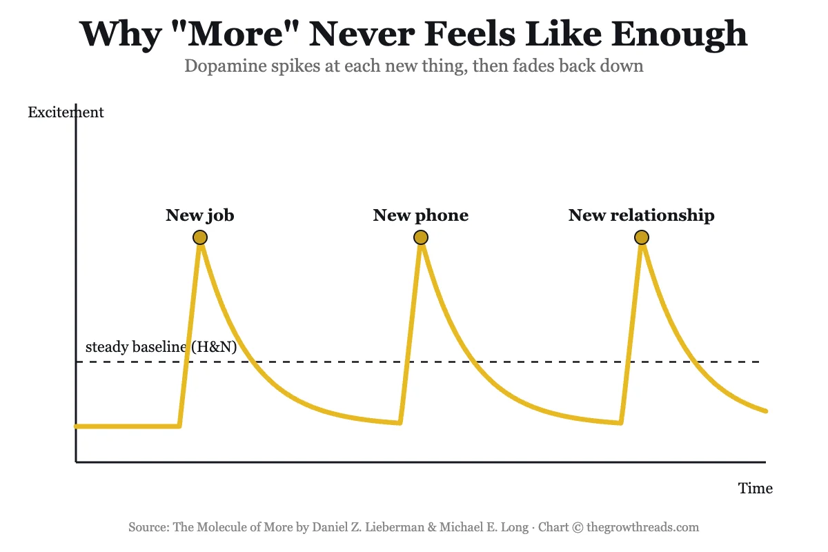 Chart showing why dopamine-driven excitement fades after each new acquisition in The Molecule of More