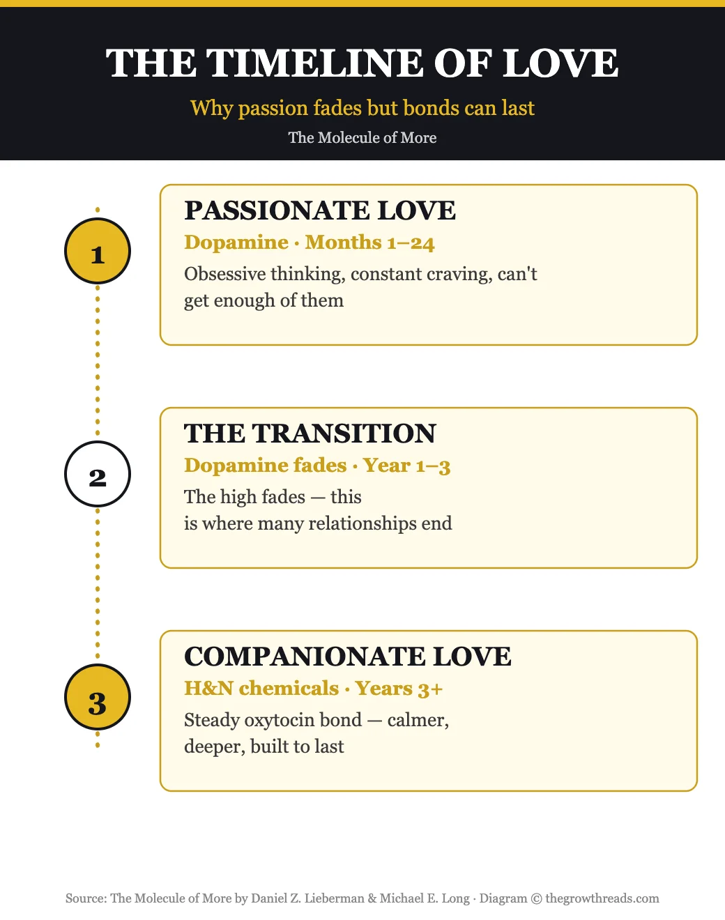 Timeline of love from passionate dopamine love to companionate H&N love in The Molecule of More