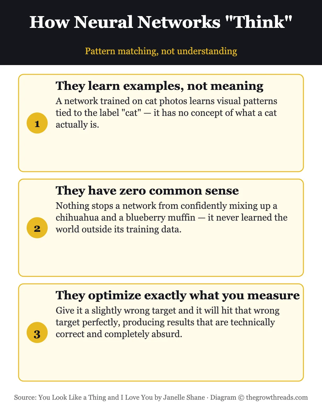 How neural networks think: pattern matching, no common sense, optimizing exactly what you measure
