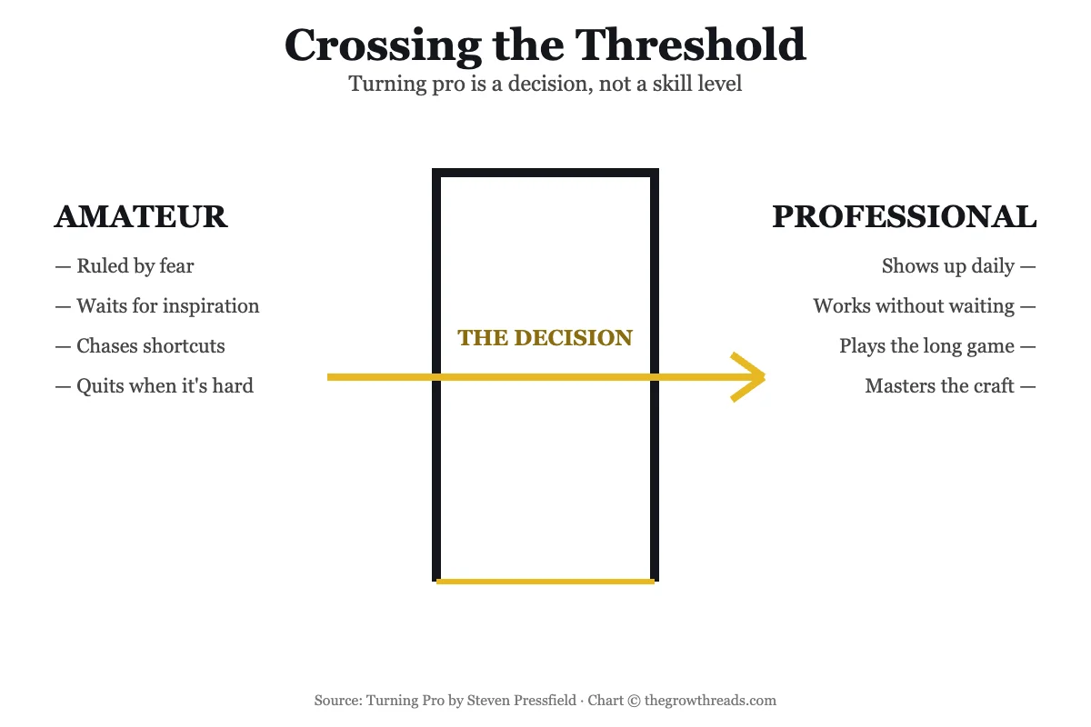 Crossing the Threshold concept chart comparing amateur and professional mindsets
