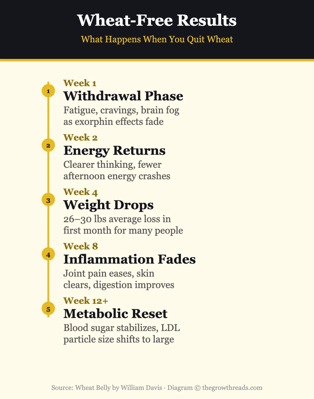 Wheat-Free Results timeline — what happens when you quit wheat from week 1 to week 12