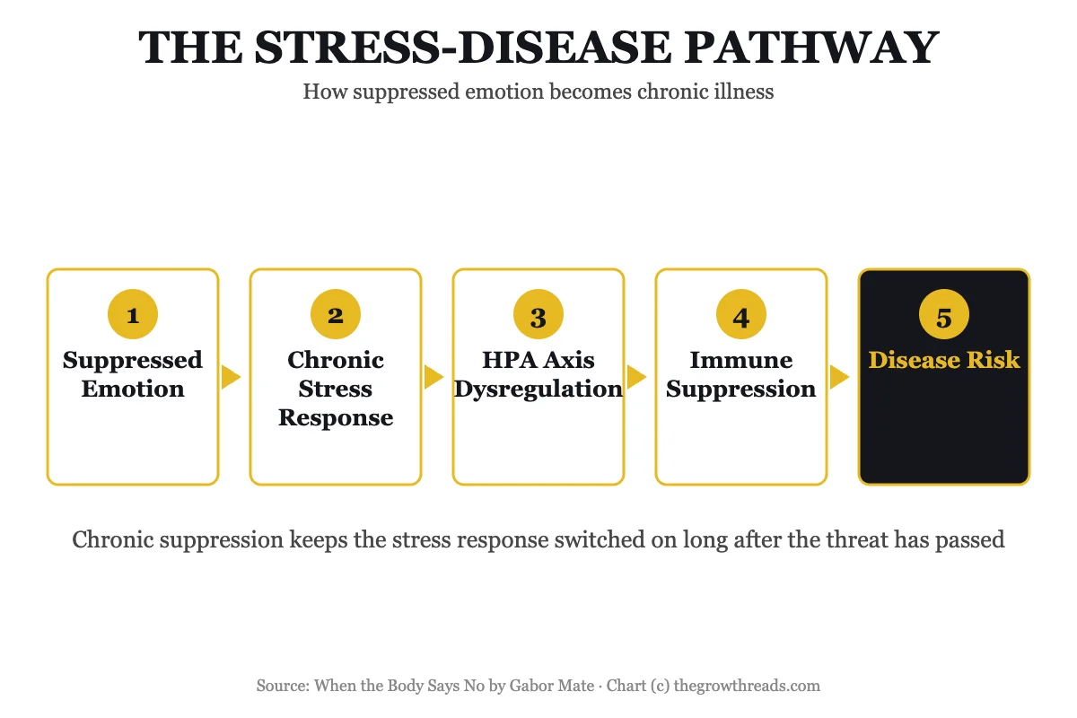 The stress-disease pathway — how suppressed emotion becomes chronic illness, from When the Body Says No