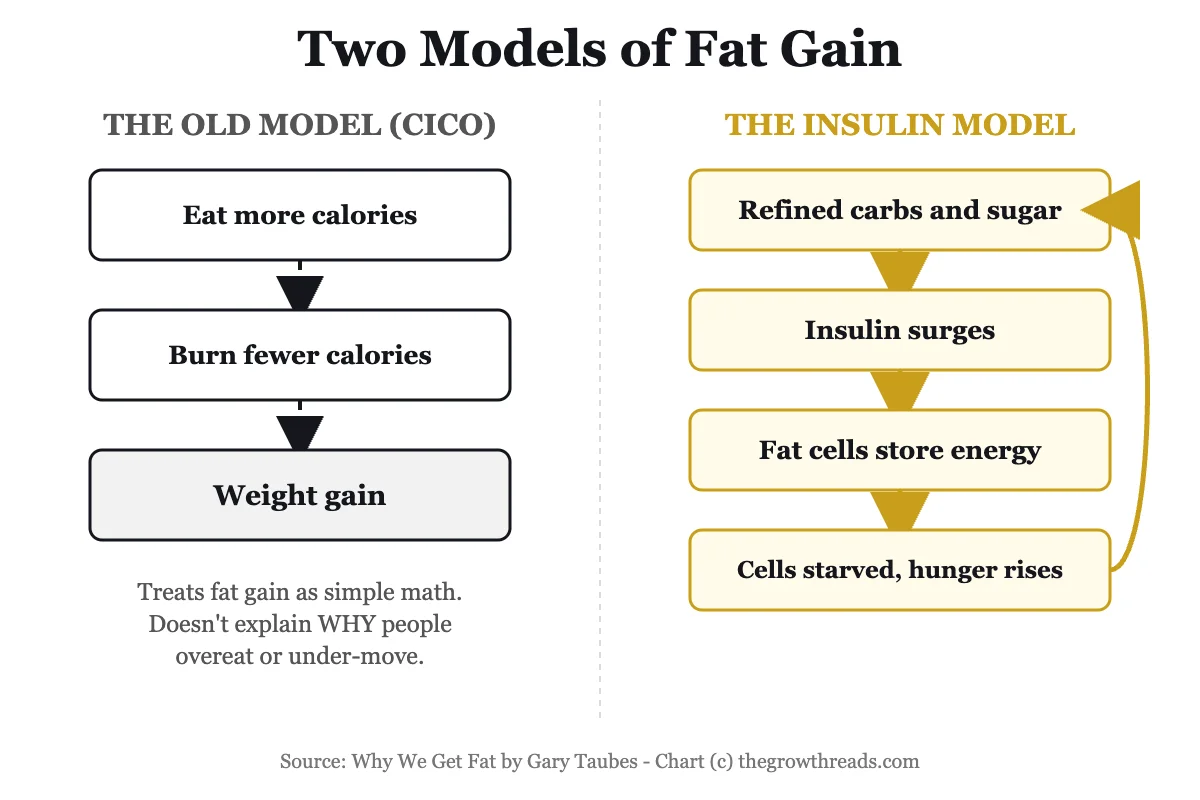 Chart comparing the calories-in-calories-out model vs the carbohydrate-insulin model of fat gain from Why We Get Fat