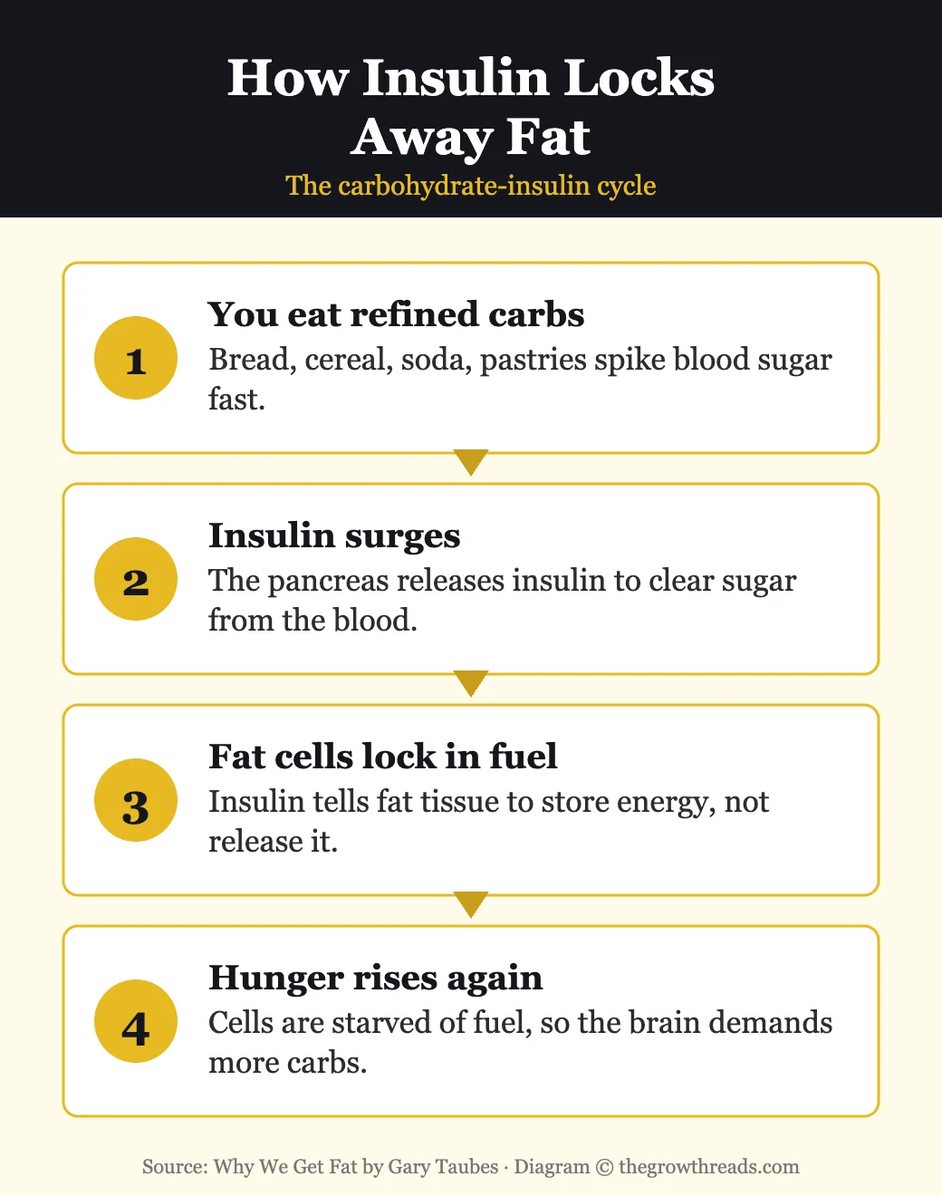 Diagram: how insulin locks away fat - the carbohydrate-insulin cycle from Why We Get Fat