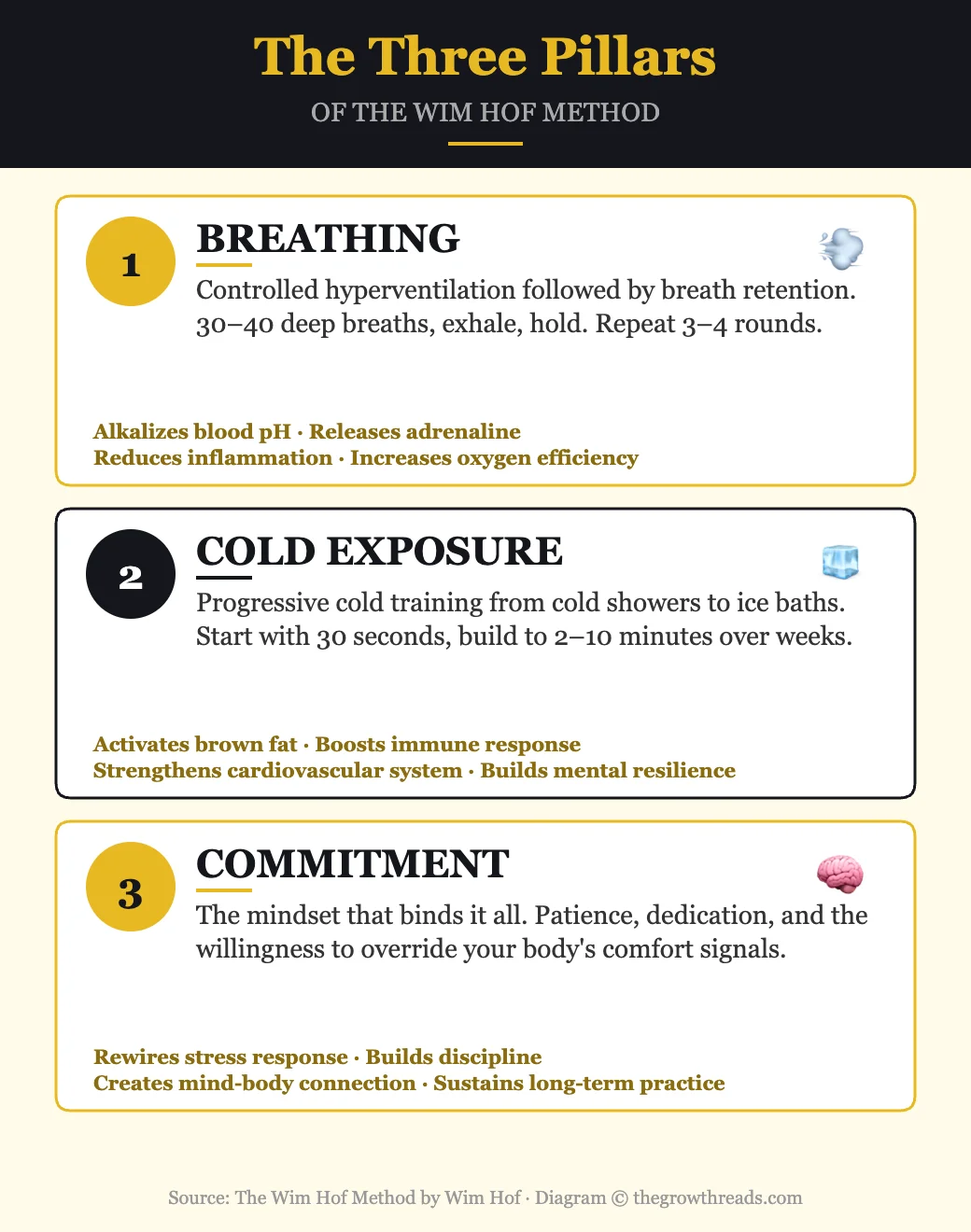 The Three Pillars of the Wim Hof Method — Breathing, Cold, Commitment