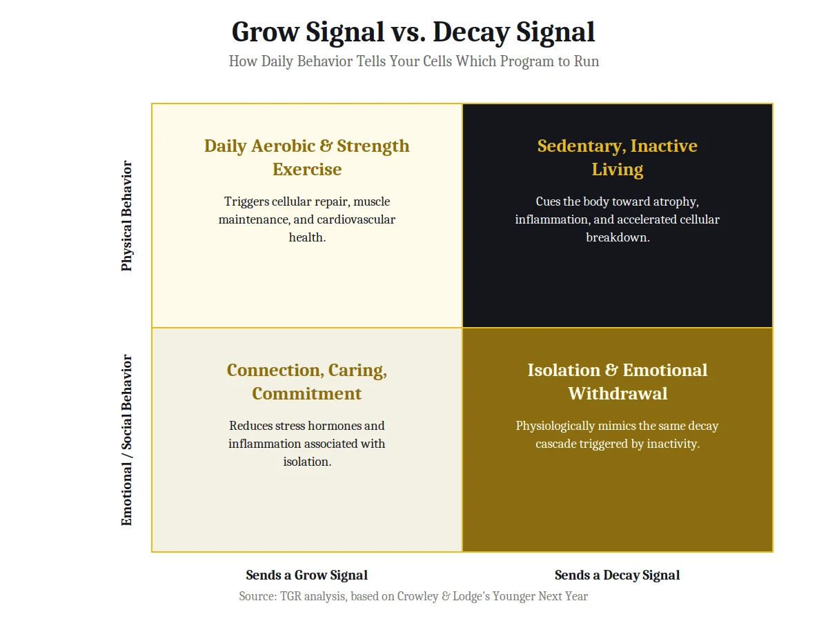 2x2 matrix chart on grow signal versus decay signal from the book Younger Next Year