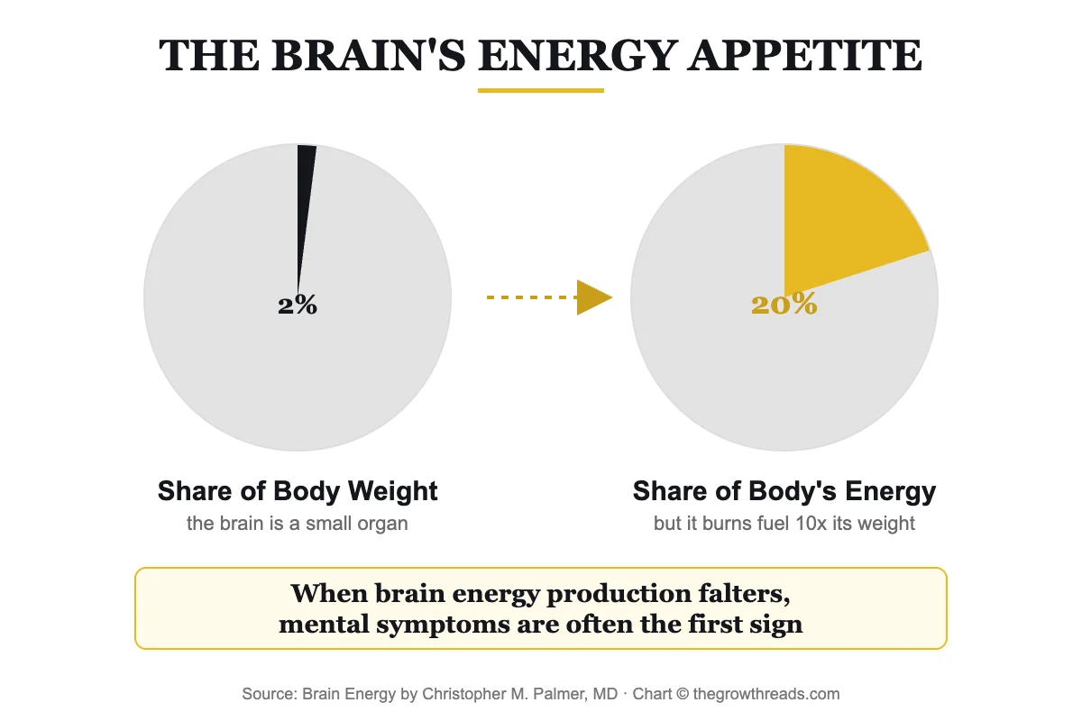 Chart showing the brain is 2 percent of body weight but uses 20 percent of the body's energy