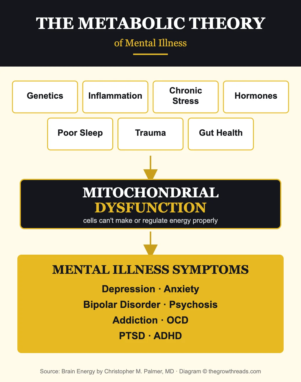 Diagram showing risk factors like genetics, inflammation, stress, hormones, sleep, trauma and gut health converging on mitochondrial dysfunction, which produces mental illness symptoms