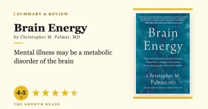 Brain Energy