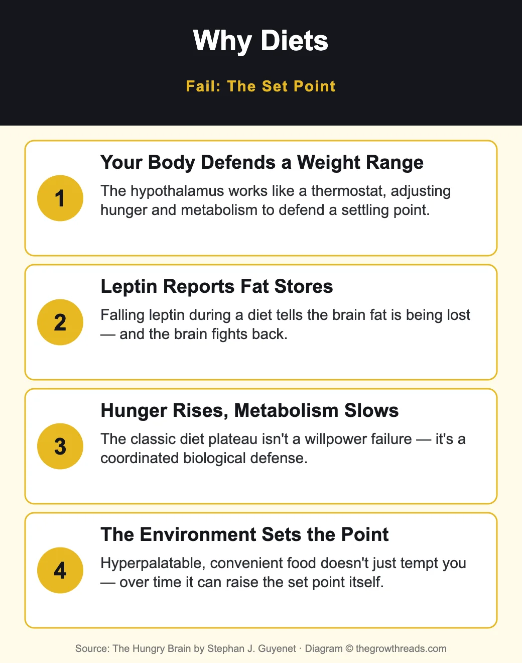 Why diets fail: the body fat set point, from The Hungry Brain by Stephan Guyenet