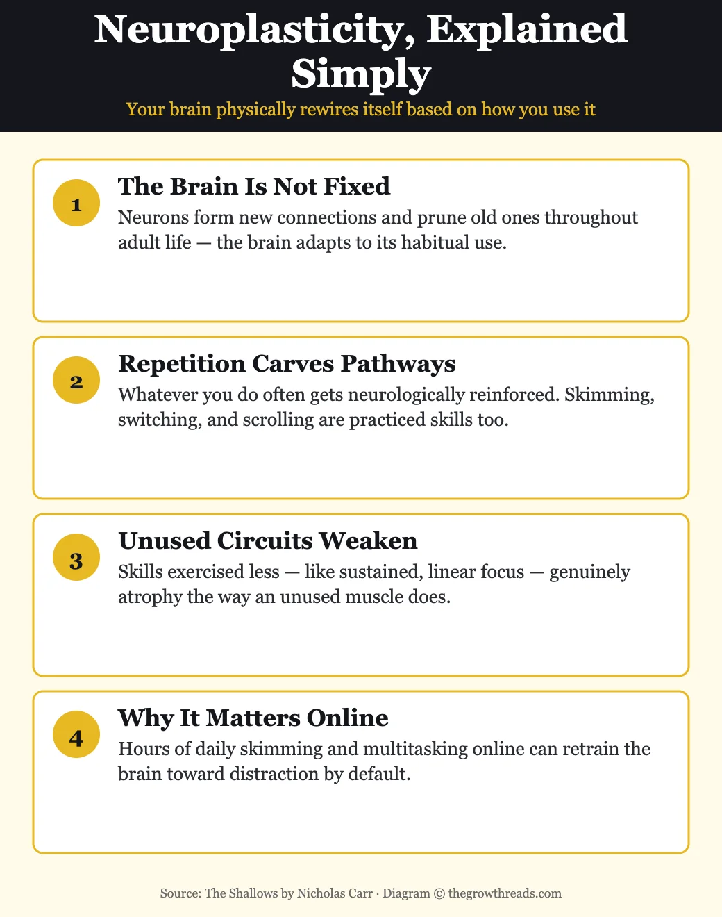 Infographic explaining neuroplasticity and how repeated internet use trains the brain toward skimming and rapid task-switching