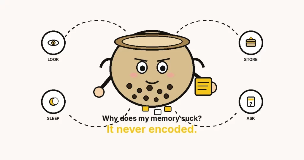 Cartoon colander with a worried face and notes falling through — why everyday memory leaks. 6605 featured.