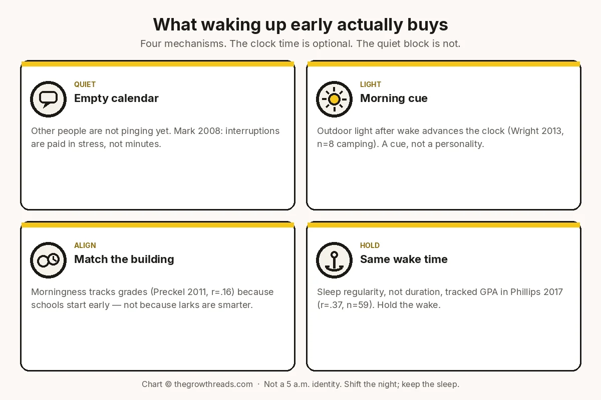 Four-panel concept chart of what waking up early actually buys: a quiet empty calendar, morning light as a cue, alignment with institutional clocks, and a held wake time.