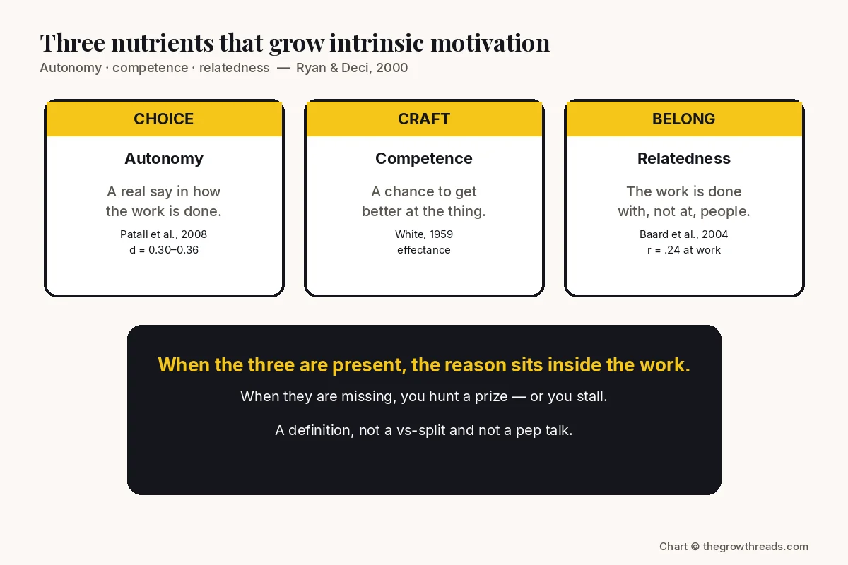 Three-column chart of the nutrients that grow intrinsic motivation: choice (autonomy), craft (competence), and belong (relatedness), with Patall 2008, White 1959, and Baard 2004 cited under each.