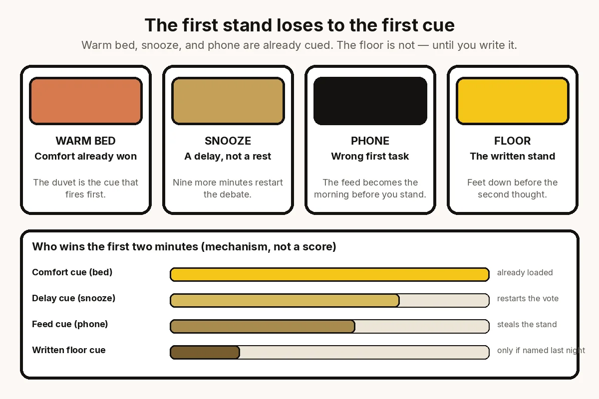 Four first cues that decide the stand — warm bed, snooze, phone, and the written floor — with a comparison of which cue is already loaded.