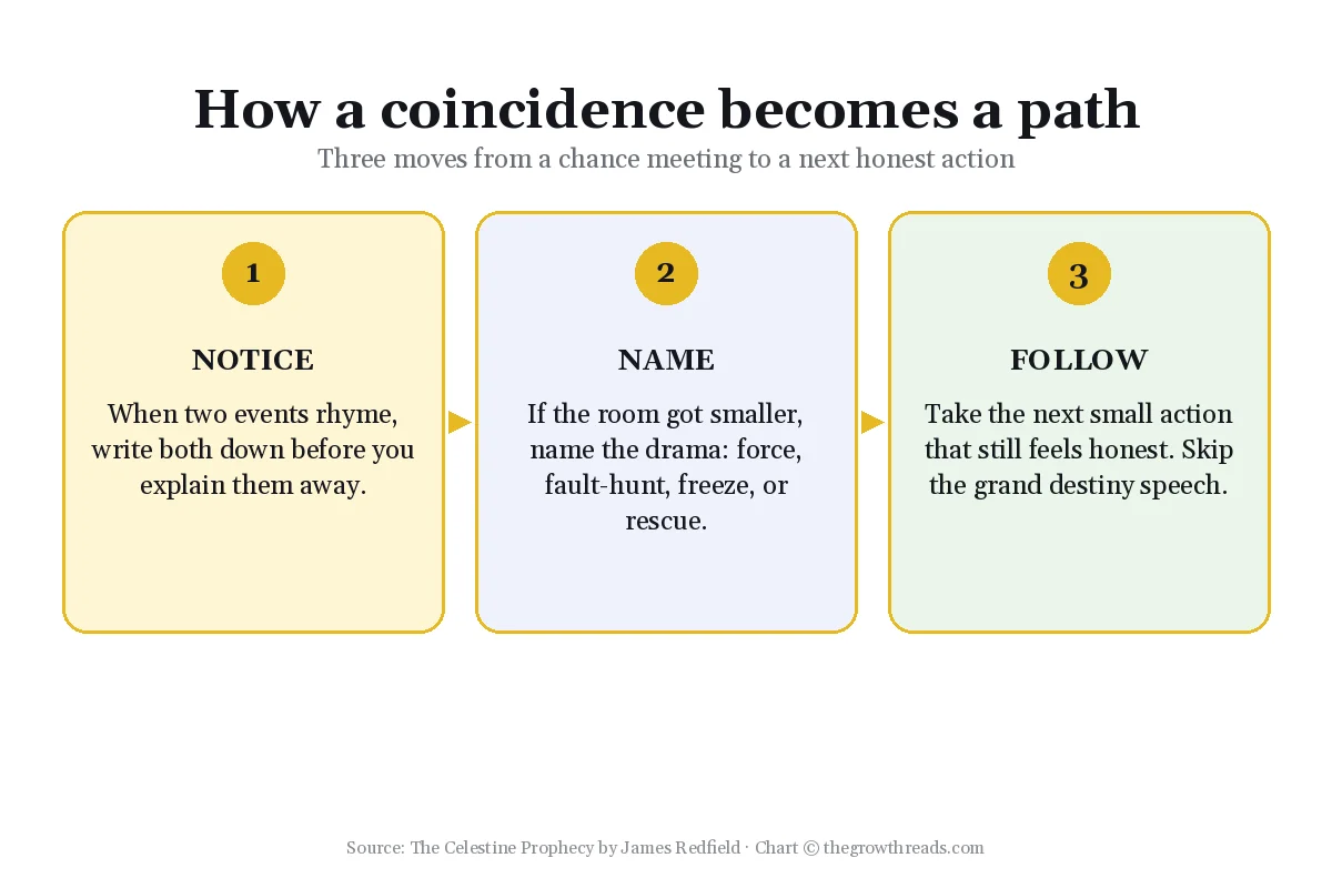 Three-step map from noticing a coincidence to a next honest action, from James Redfield