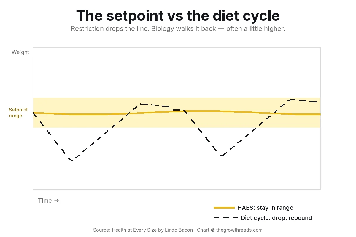 Chart of setpoint stability versus diet rebound in Health at Every Size by Lindo Bacon