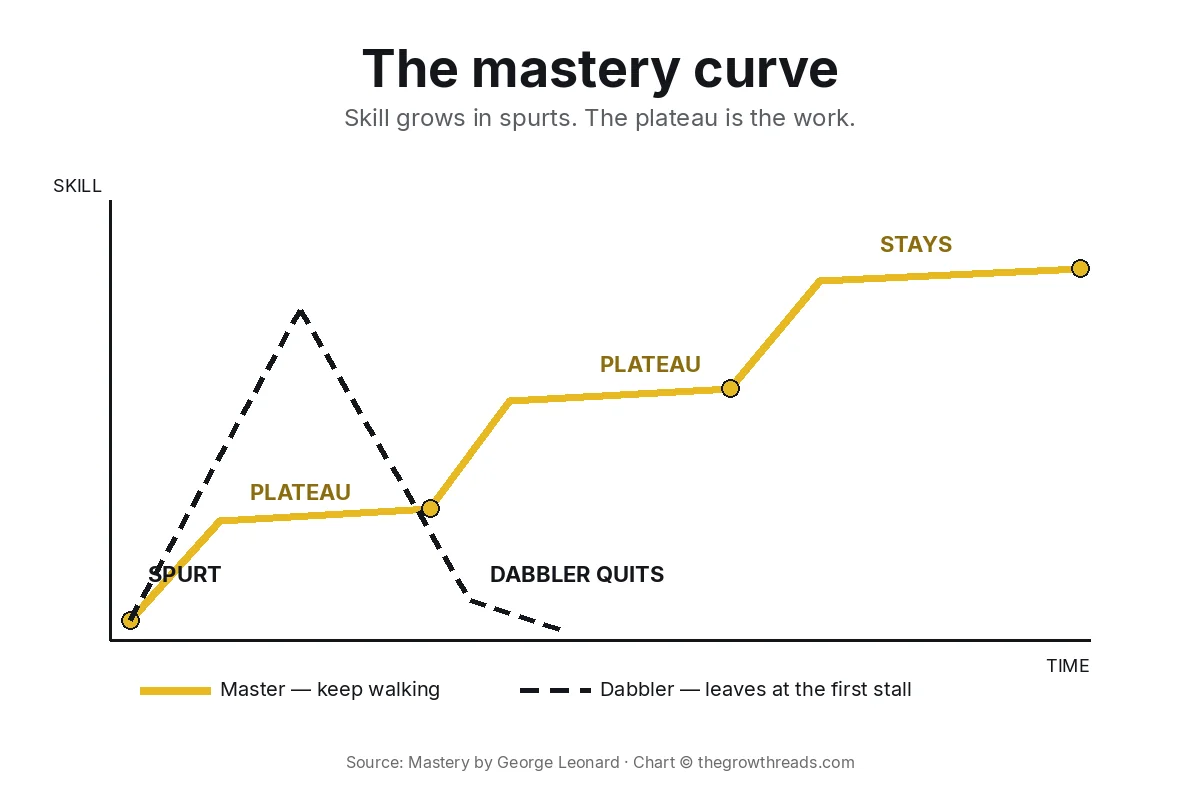 Concept chart: Mastery — the plateau curve versus the dabbler crash