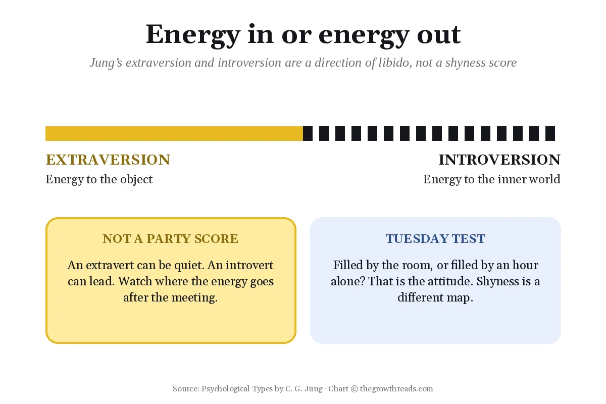 Energy in versus energy out continuum from Psychological Types
