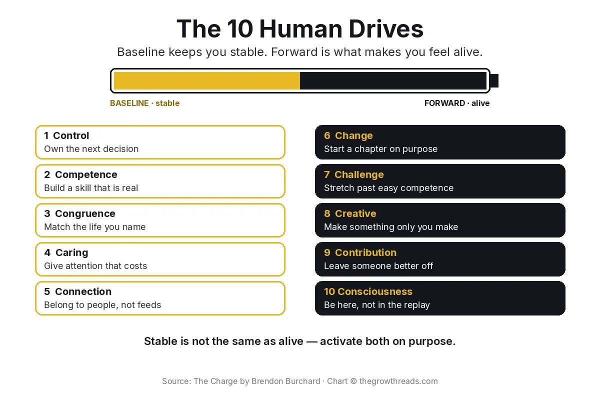 Concept chart: baseline drives keep you stable, forward drives make you feel alive