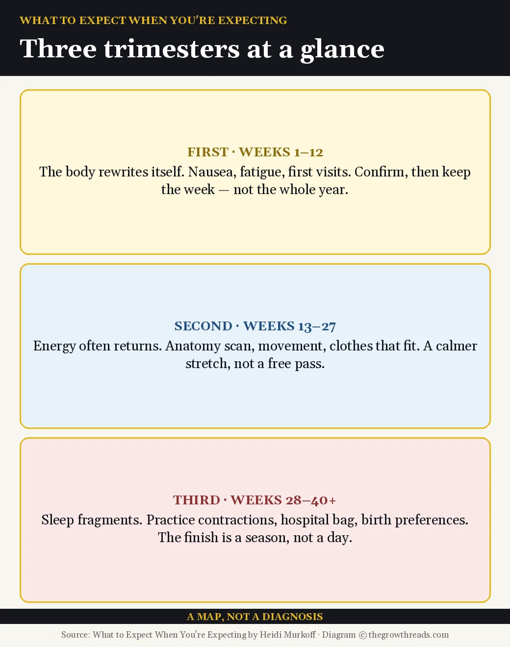 Three trimesters at a glance from What to Expect When You're Expecting by Heidi Murkoff