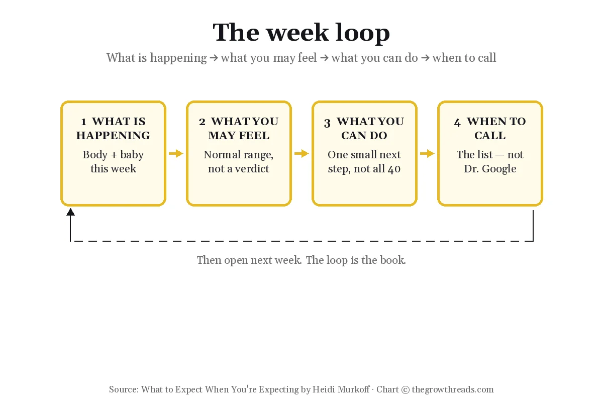 Chart of the week loop — what is happening, what you may feel, what you can do, when to call — in What to Expect When You're Expecting by Heidi Murkoff